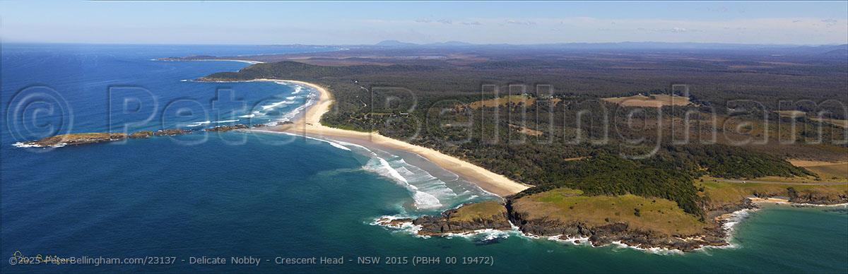 Peter Bellingham Photography Delicate Nobby - Crescent Head - NSW 2015 (PBH4 00 19472)